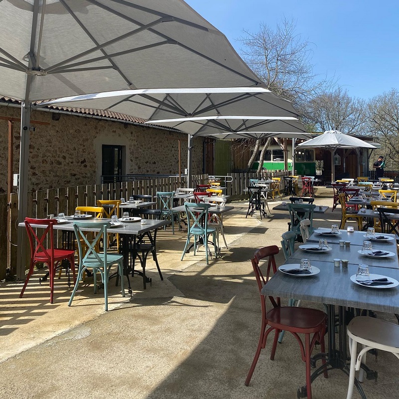 Cross Back Dining Chairs and Thonet Dining Chairs