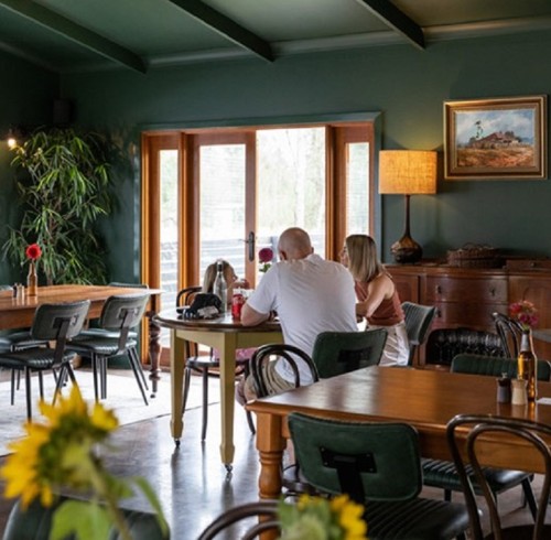 How To Choose Suitable Leather Dining Chairs For Restaurants?