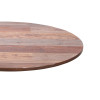 Commercial Grade Wood-Look Resin Round Table Top