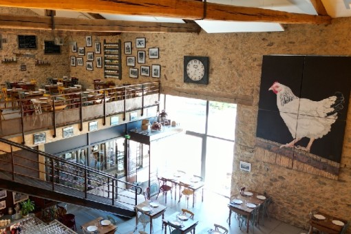 Cross Back Chairs & Thonet Dining Chairs Transform Les Tables Du Bistrot