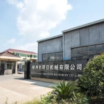 Shengzhou Tomorrow Machinery Co.,Ltd