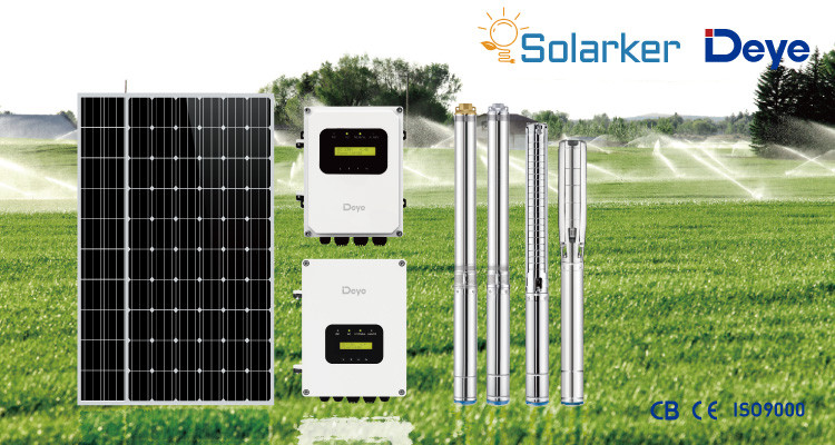 DC solar pump factory