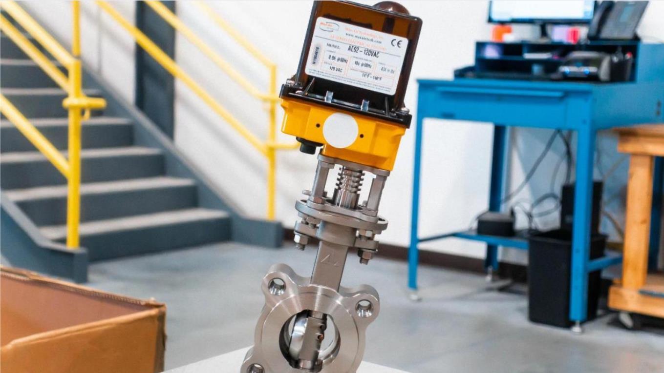 electric actuator