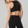 Women's sports bra,athletic apparel,gym clothing,adjustable back buckle running fitness sports bra