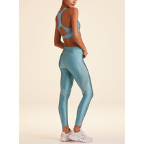 Women Shimmery Leggings Shiny  Nylon Spandex Sports Tights