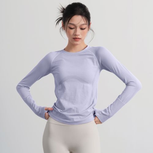 Women Crew Neck Seamless Ribbed Long‑Sleeve Yoga Training Top, High Stretch Slim Fit Quick‑Dry Autumn Winter Fitness Sports Shirt