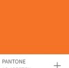 Panton's Color Forecast for 2025