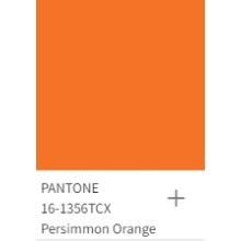 Panton's Color Forecast for 2025