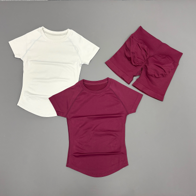 Women Seamless Yoga Workout 2‑Piece Set Short Sleeve Top & Sports Shorts