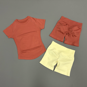Women Seamless Yoga 2 Piece Workout Set Short Sleeve Top & Sports Shorts