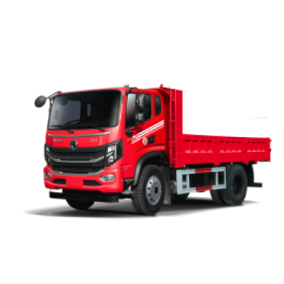 VASOL DFD3166GL6D11 dump truck CHINA 2022
