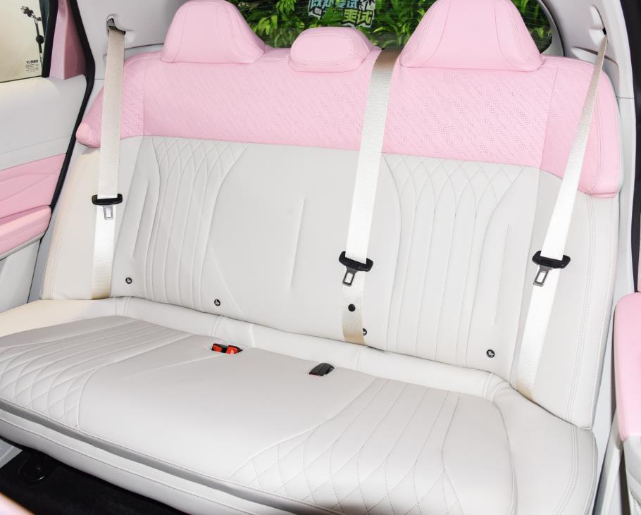 BYD HAN New energy vehicle export