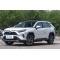 Toyota RAV4 Hybrid cars China 2023
