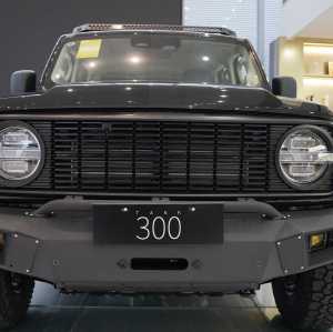 Changcheng Tank300  2.0T Most Advanced off-road vehicle