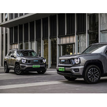 Haval Second  Dog 2023 1.5T Two-drive Tidal Field Version Factory Direct Sale