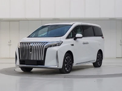 Hybrid Electric Vehicle High Mountain DHT-PHEV 2024