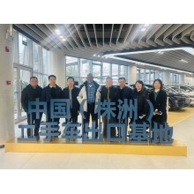 Nigerian high-level delegation visits Yitongda used car export base