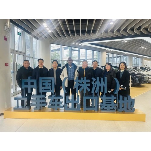 Nigerian high-level delegation visits Yitongda used car export base