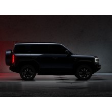 BYD becomes the global new energy market sales champion