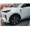 China Auto Export Changan Qiyuan Q05 2025 Hybrid Vehicle Sales  Auto Sale