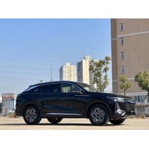 2023 year Chery Xingtu Yaoguang, a used car exported from China