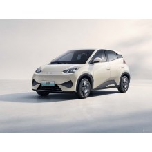 Chinese brands grow rapidly in Kazakhstan's car market in 2025