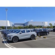 Preferential policies for buying electric vehicles in China