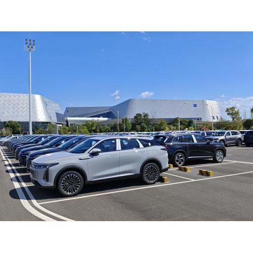 Preferential policies for buying electric vehicles in China