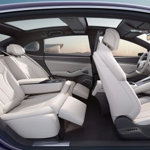 BYD electric car Denza Z9 2024 used car-new energy vehicle export