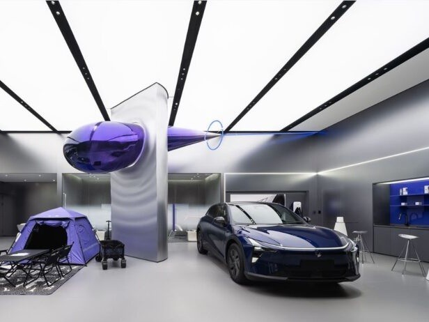 Passenger vehicle retail sales ranking in China April 2025