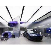 Passenger vehicle retail sales ranking in China April 2025