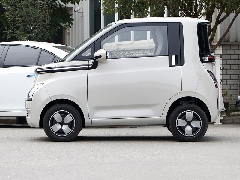 Mini Electric Vehicles