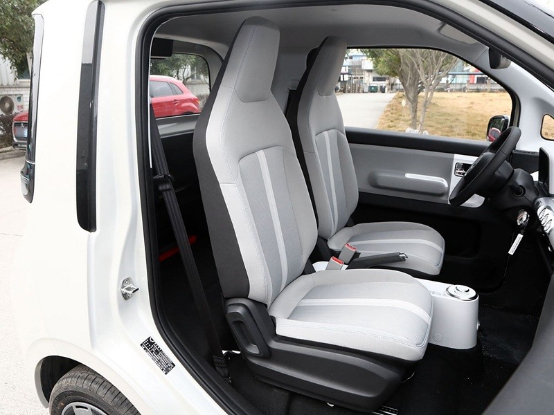 Mini Electric Vehicles