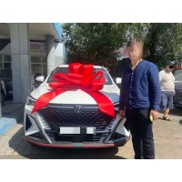 Changan EADO has been sold