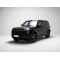 ROX 01 Hybrid used car SUV China used car export 2025
