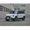 ROX 01 2023 All-Round 7-Seater Hybrid Vehicle for Export High-Quality Used Cars in China