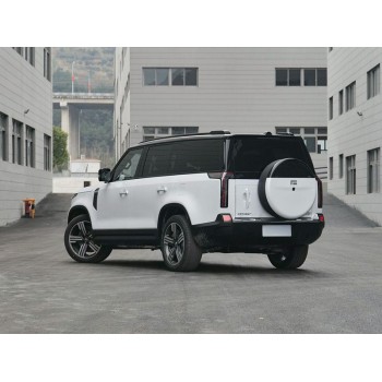 ROX 01 2023 All-Round 7-Seater Hybrid Vehicle for Export High-Quality Used Cars in China