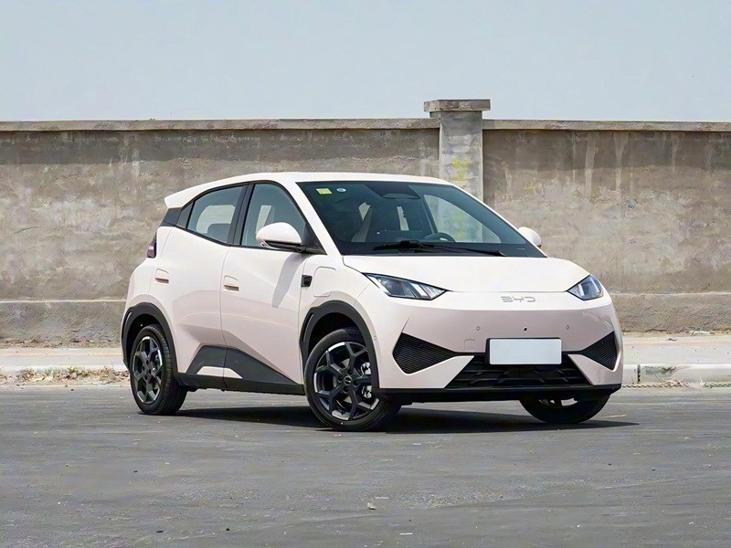 Used electric cars in China