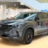 How Can Foreign Customers Buy Used Cars from China?