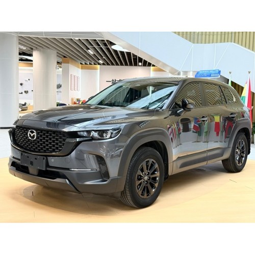How Can Foreign Customers Buy Used Cars from China?