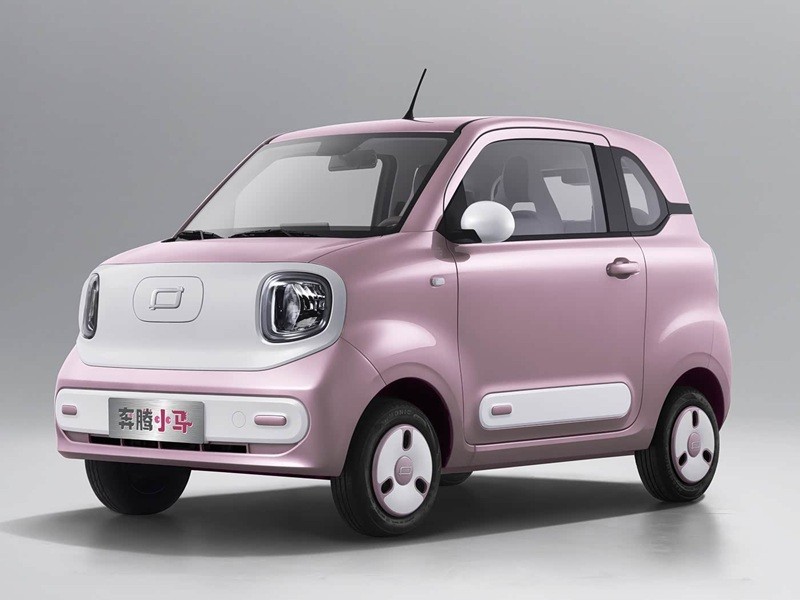 Mini Electric Vehicles