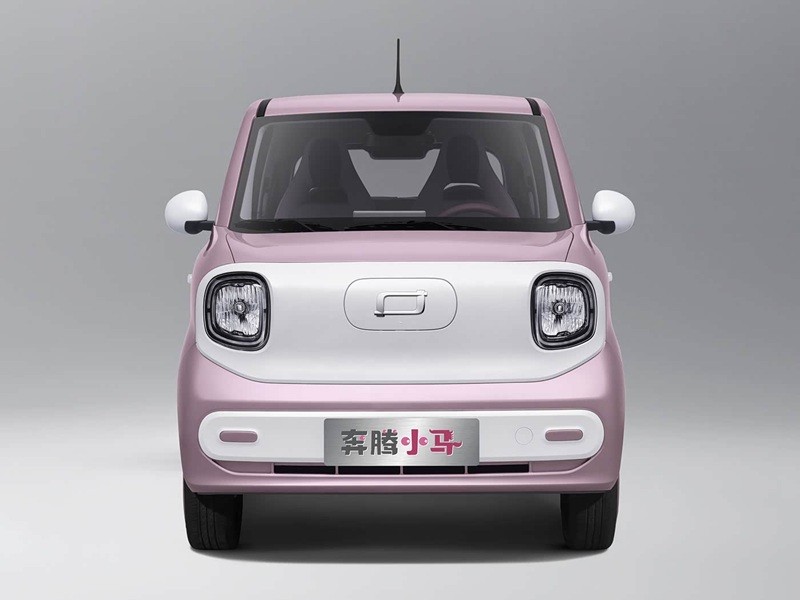 Mini Electric Vehicles