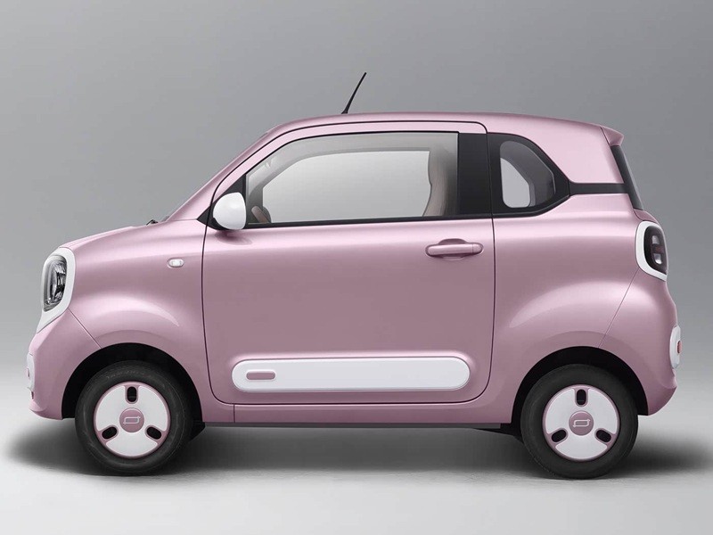 Mini Electric Vehicles