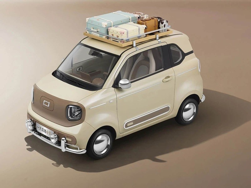 Mini Electric Vehicles