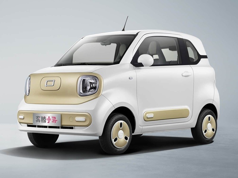 Mini Electric Vehicles