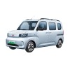 Wuling Hongguang Electric Vehicles - High-Quality Electric Vehicles for Sale in China