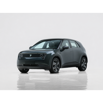 NIO Firefly Electric Vehicle | New Energy Vehicle Supply in China