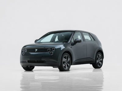 NIO Firefly Electric Vehicle | New Energy Vehicle Supply in China