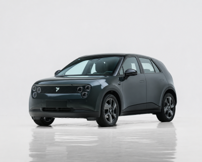 NIO Firefly Electric Vehicle | New Energy Vehicle Supply in China