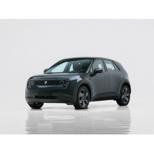 NIO Firefly Electric Vehicle | New Energy Vehicle Supply in China